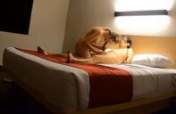 se escapa de casa solo para follar
